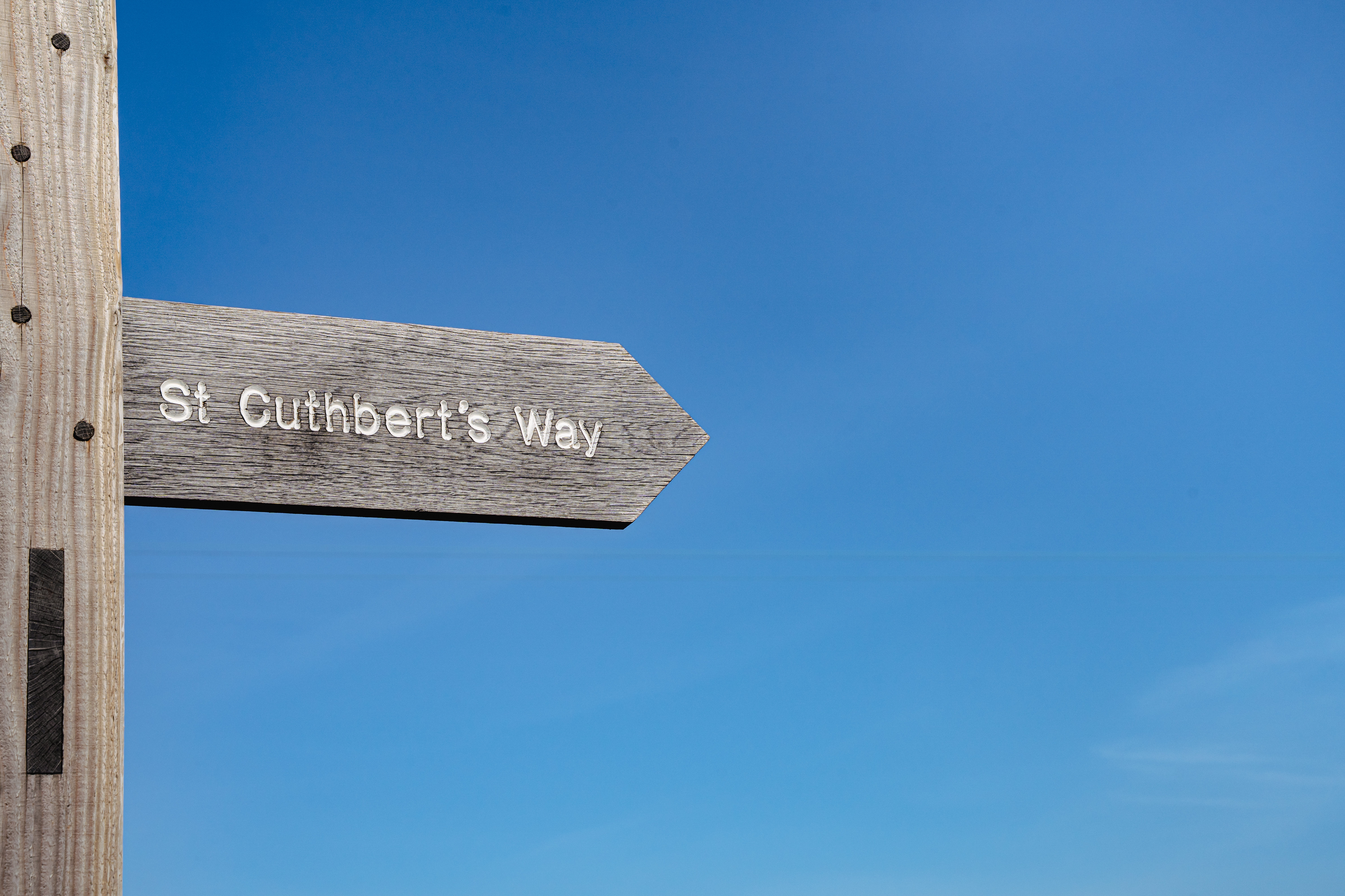 Celebrating the Feast of St Cuthbert 